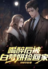 novel im